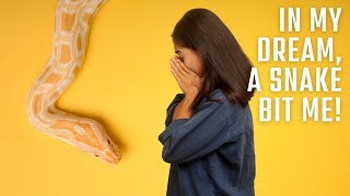 What does it mean to dream about snakes biting you?🐍