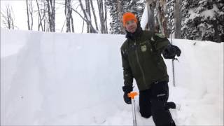 Skier Avalanche Fatality, Henderson Bench, Cooke City - 12 Dec 2016