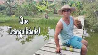 Um Pouquinho do Nosso Dia Tranquilo na Roça!