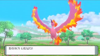 브다샤펄 이로치 파이어 BDSP Shiny Moltres