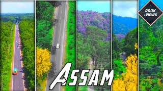 Mood❣️ Assamese Status ||  Assamese Status || Beautiful Assam ❤️@dipencreation4314