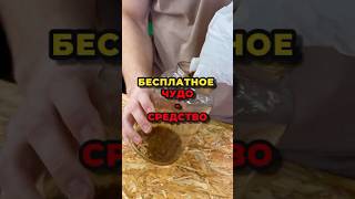 Бесплатное чудо-средство