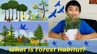 What is Forest Habitat?