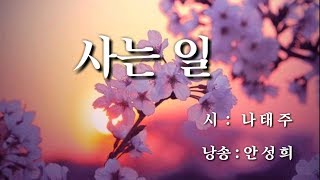 [시낭송]  사는 일 / 나태주