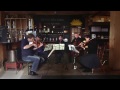 mozart clarinet quintet in a major k.581 ii. larghetto · the tso chamber soloists