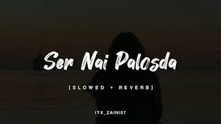 Ser NAI Palosda | Ammy virk | Slowed reverb