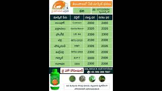 jhk market rate updates | Today Market Prices of Paddy Telangana |   @JaiHoKisan