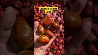 Chinese Jujubes, Lang variety