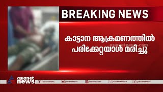 വയനാട് കുറുവയിൽ കാട്ടാന ആക്രമണത്തിൽ പരിക്കേറ്റയാൾ മരിച്ചു