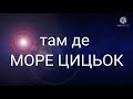 там де море цицьок оригінал