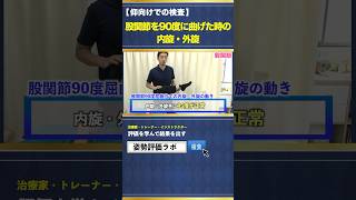 【股関節の検査】90度で内外旋の可動域は45度が正常 #姿勢評価ラボ #姿勢 #shorts