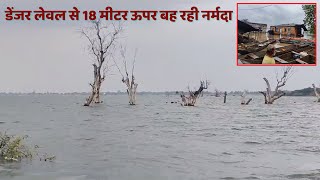 Narmada backwater in Barwani villages | Narmada River | Barwani | MP rain |