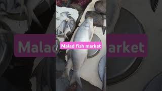 Malad fish market#rawas fish 🐠🐠#paplet fish#short video#