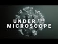 Coronavirus: Under the microscope | ABC News