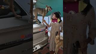 🐶எல்லாமே நாம் தான் 🤣🤣🤣🥰 #doglover #pettraining #petlover #puppyvideos #trending #shorts #reels#funny