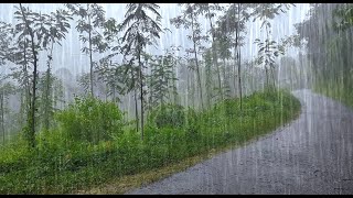 Fall asleep instantly to the sound of heavy rain - Sleep soundly in 10 minutes | ASMR