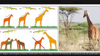 Ch 11.1 Evolution and It's Processes: Discovering How Populations Change Openstax
