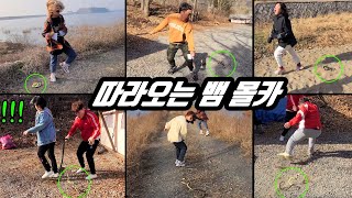 몰카 ) 따라오는 뱀 몰래카메라 액기스 모음집 ㅋㅋㅋ 포복 졸도 빵빵 터지는 웃음보장 리액션 ㅋㅋㅋ 다시봐도 너무 재밌다 (시간순삭)