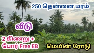 அருமையான தண்ணீர் வசதியுடன் கூடிய 10 ஏக்கர் விவசாய நிலம் விற்பனைக்கு | Agriculture Land For Sale