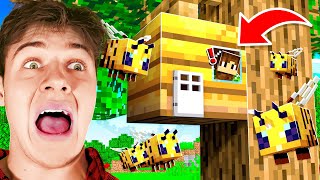 I Trapped My Friends in a BEE HIVE in Minecraft