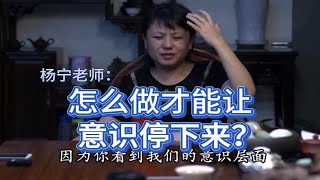 怎样让意识停下来？ 杨宁老师