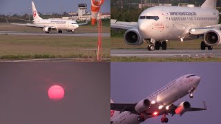 21/03/20 宮古空港 日本トランスオーシャン航空 JTA Boeing 737-800 (JA350J) Arrival \u0026 Departure at Miyako Airport, ROMY