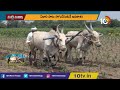 బంతి సాగులో యాజమాన్యం ball flower cultivation techniques matti manishi 10tv news