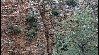 Φαράγγι Χαυγά οροπεδίου - Havgas Gorge (Katharo), Crete in  4K