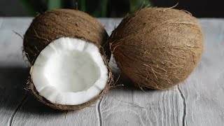 Fresh Coconut Stock Video