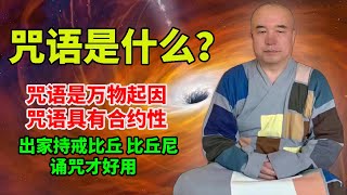 谛深大师开示：咒语是什么？咒语是万物起因，咒语具有合约性！出家持戒比丘、比丘尼 诵咒才好用。往生咒、大吉祥天女咒、楞严咒20200627