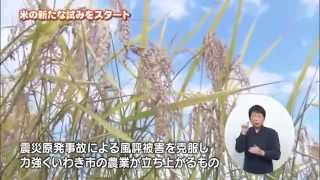 平成26年10月25日テレビ放映「明日へ　ふるさといわき～力強い復興と再生に向けて～」