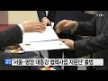 서울 서울 평양 대동강 협력사업 자문단 출범 ytn