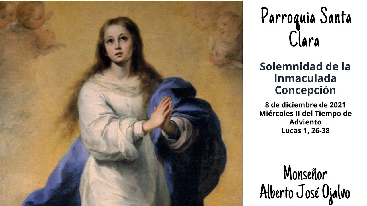 Santa Misa Solemnidad De La Inmaculada Concepción - YouTube