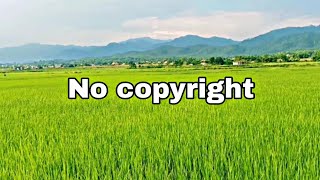 no copyright video/free footage(no copyright channel)