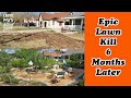 Epic Lawn Kill 6 Months Later