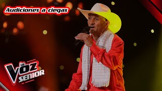 Luis Alberto canta 'El grillo' – Audiciones a ciegas | La Voz Senior