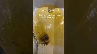 Bath Bomb Fail