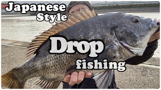 【年無しチヌ】５０cmオーバーJapan black sea bream fishing「黒鯛釣り方」2022 ３月