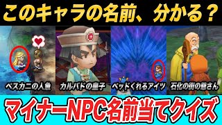 【全問正解できる？】こいつ誰だっけ？ドラクエのマイナーNPC名前当てゲーム!!