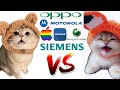 Cute Cat Meows VS Cute Kitten Meows but famous phone ringtones