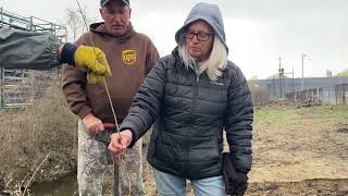 Genesee County students celebrate Earth Day by planting 300 trees by Gilkey Creek