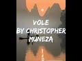 Vole by christopher muneza lyrics( video lyrics) Christopher