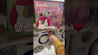 【ガチャガチャ】ニャンコ先生🐈