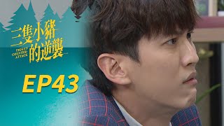 三隻小豬的逆襲 EP43 Piggy's Counterattack｜三立華劇