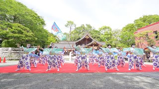 [4K] 飯能乱舞 2回目　秦野元気まつり 2021 ～春の陣～