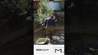 植栽植え込み中#エムズアソシエイツ #岐阜 #愛知 #注文住宅 #高気密高断熱 #自然素材 #家づくり #高気密高断熱  #工務店 #新築住宅#植栽