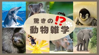 知ってた⁉驚愕の動物雑学10選