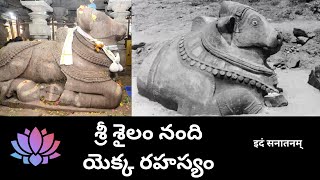 శ్రీ శైలం నంది యెక్క రహస్యం | Story Of Sri Sailam Basavanna