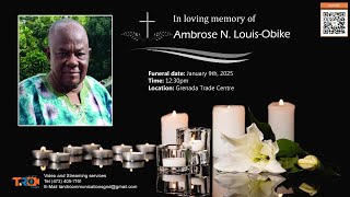 Celebrating the life of Ambrose N. Louis-Obike