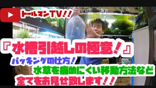 トールマンTV!!『水槽引越しの極意！その①』